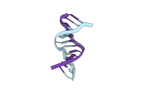 2NQ1 image