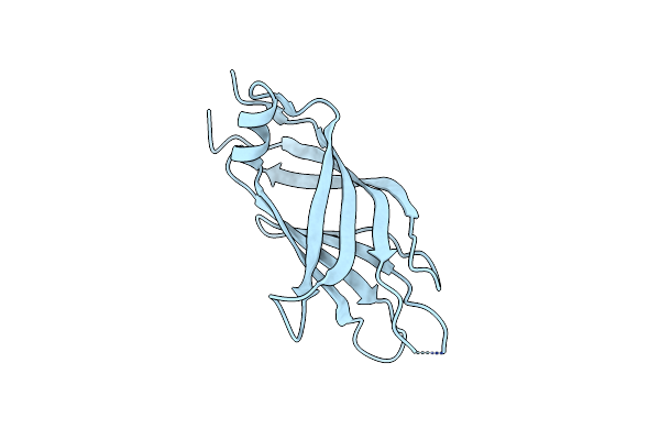 2NQ3 image