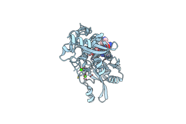 2NQG image