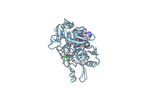 2NQI image