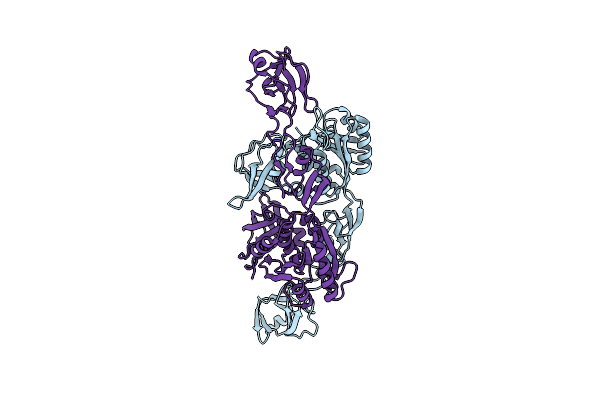 2NQK image
