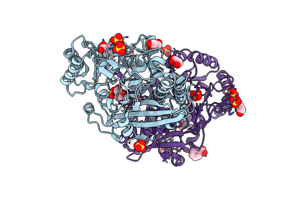2NQL image