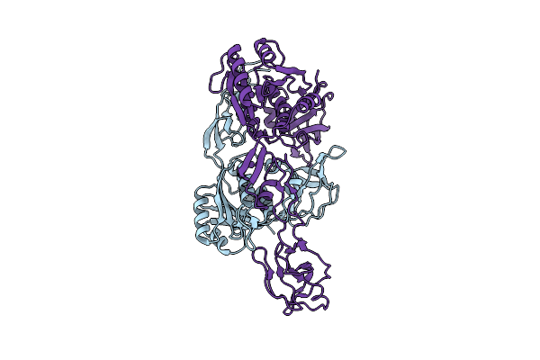 2NQM image