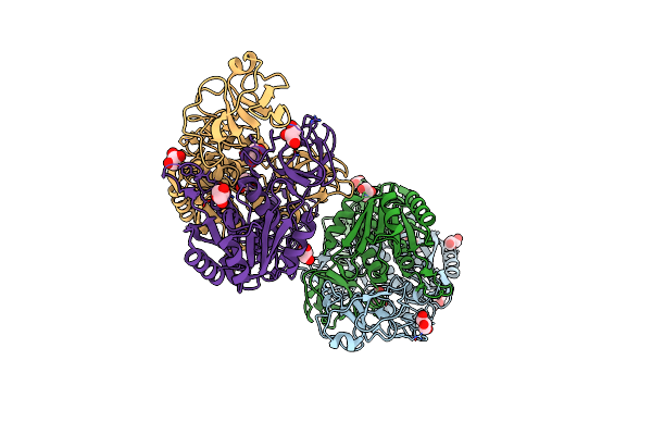 2NQQ image