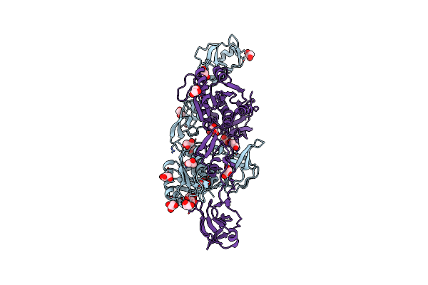 2NQR image