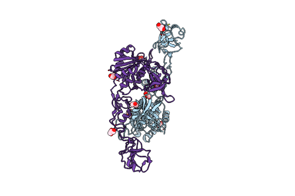 2NQS image