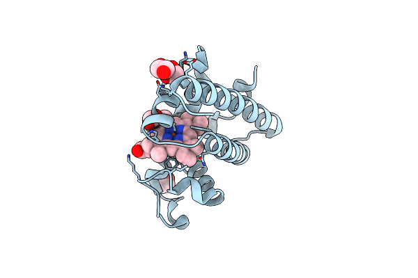 2NRL image