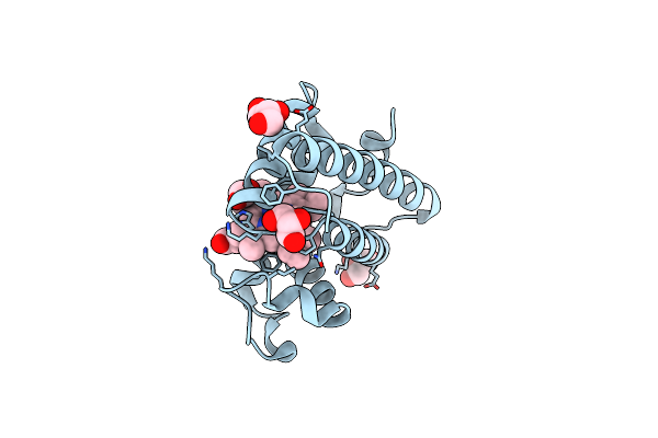2NRM image