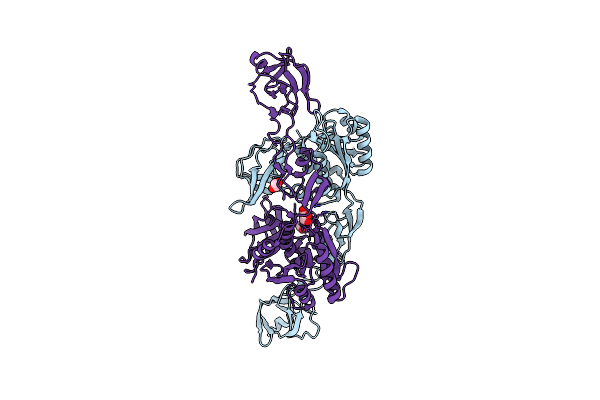 2NRP image