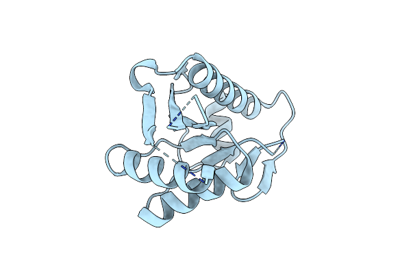 2NRR image
