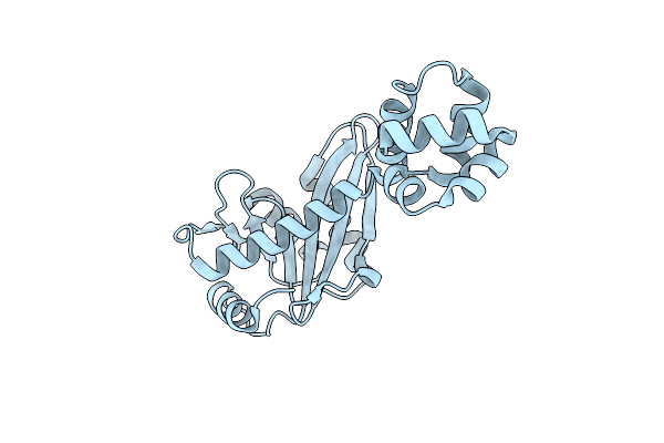 2NRT image