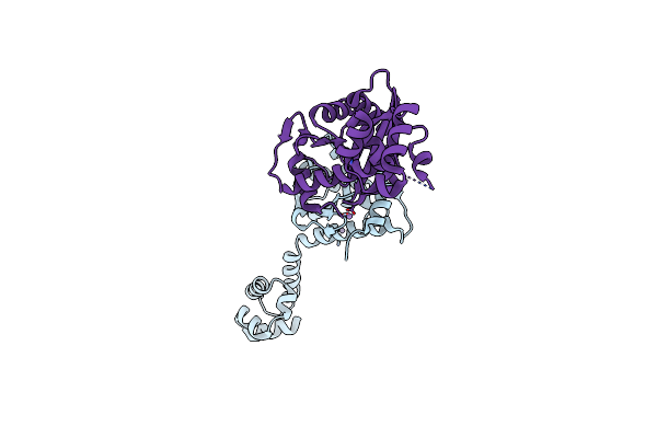 2NRZ image