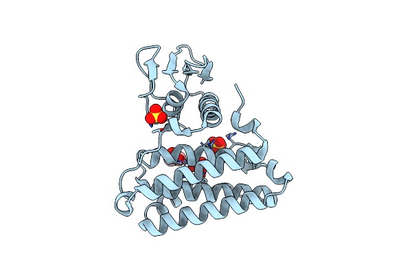 2NSF image