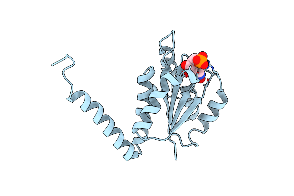 2NSJ image