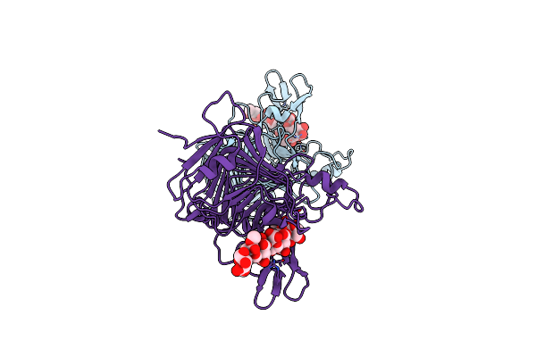 2NSP image