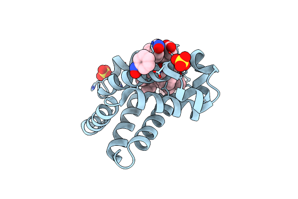 2NSS image