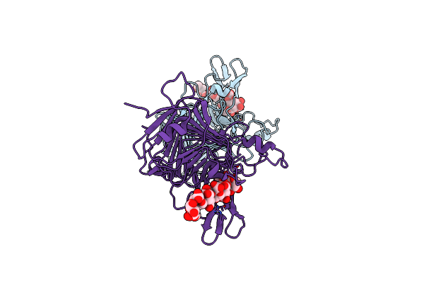 2NT6 image