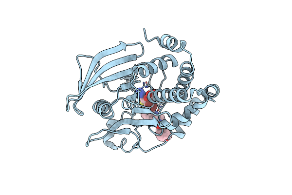 2NT7 image