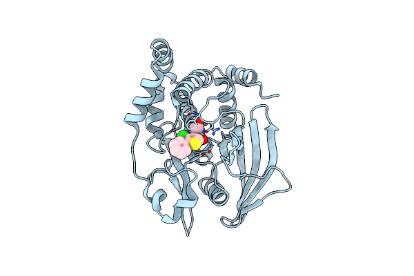 2NTA image