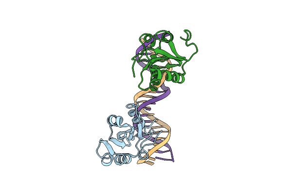 2NTC image