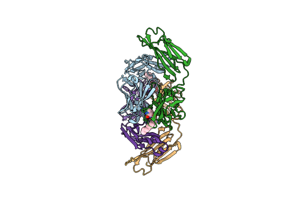 2NTF image