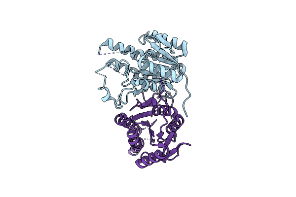2NTN image