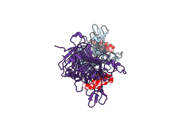 2NTP image