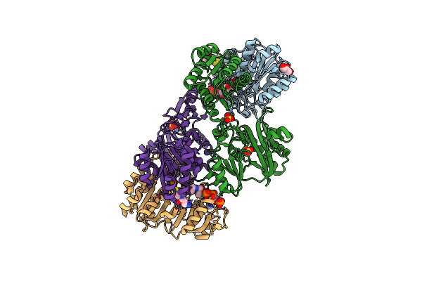 2NU8 image