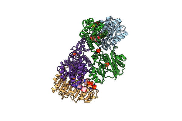 2NUA image