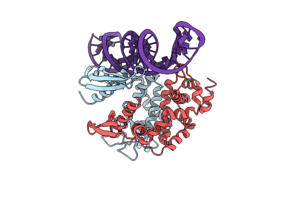 2NUE image