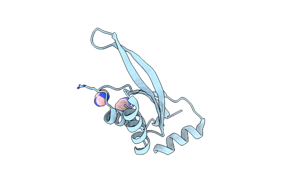 2NUH image
