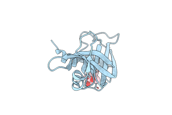 2NUI image