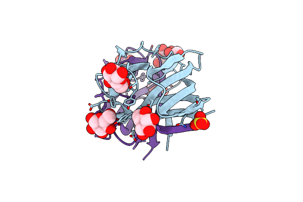 2NUO image