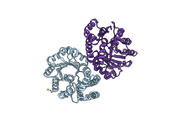 2NUX image