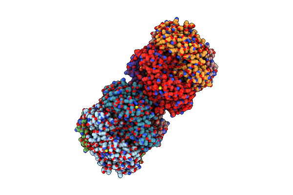2NV9 image
