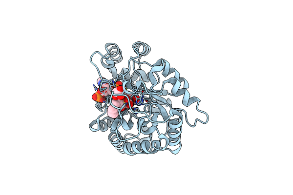 2NVC image