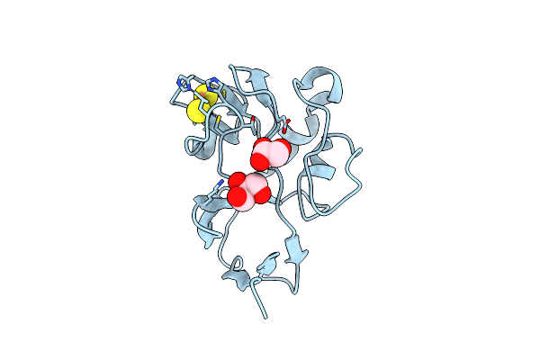2NVF image