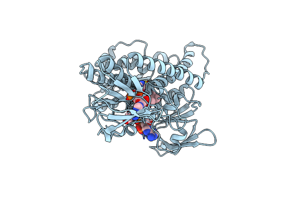 2NVK image