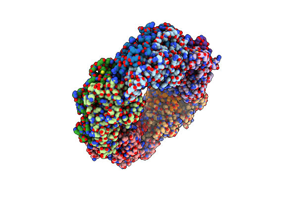 2NVL image