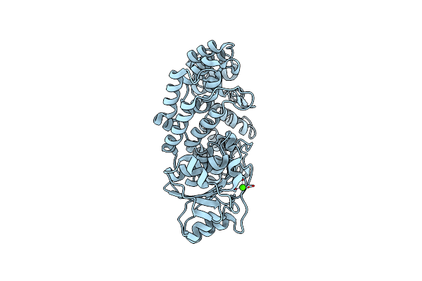 2NVO image
