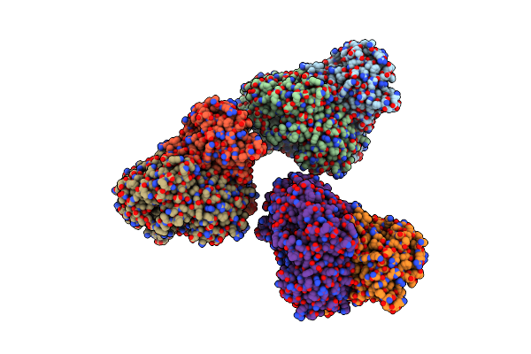 2NVV image