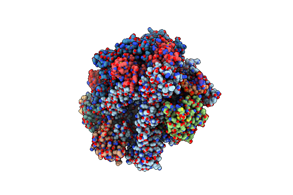 2NVX image