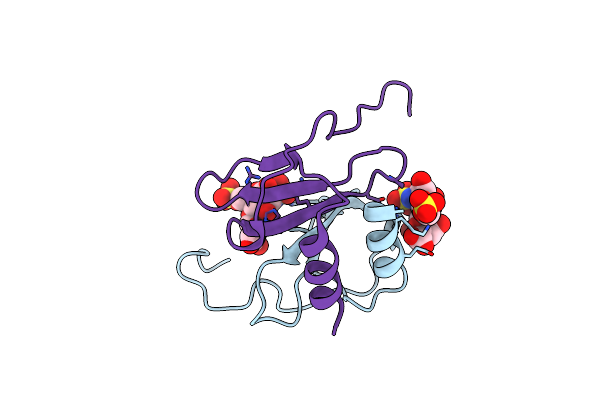 2NWG image