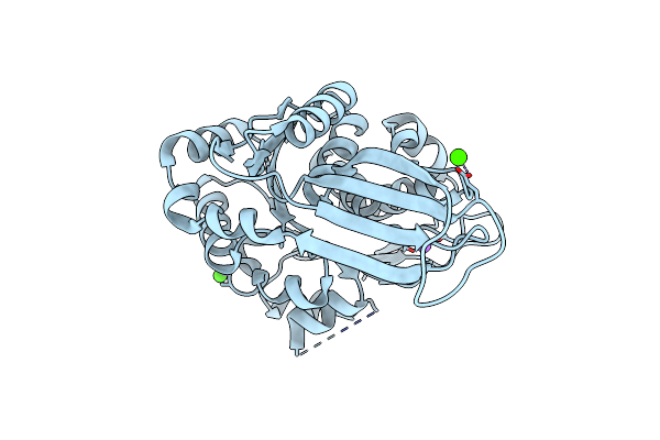 2NWH image