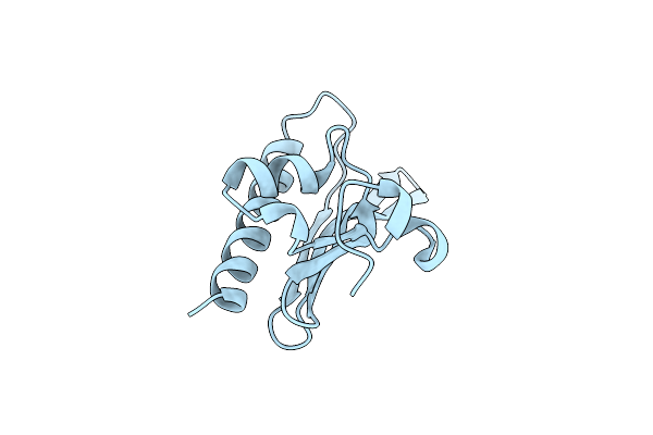 2NWV image
