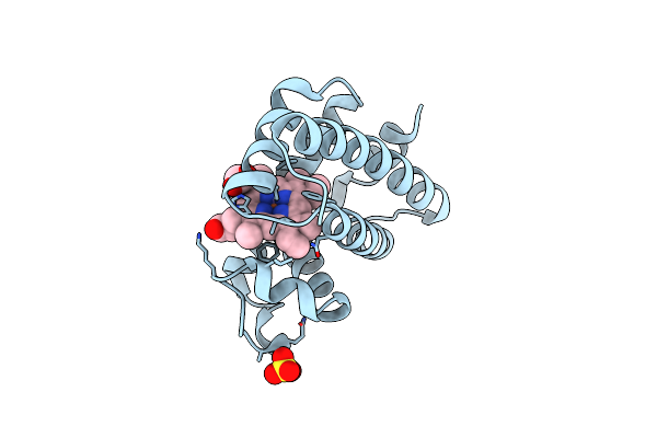 2NX0 image