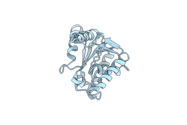 2NX2 image