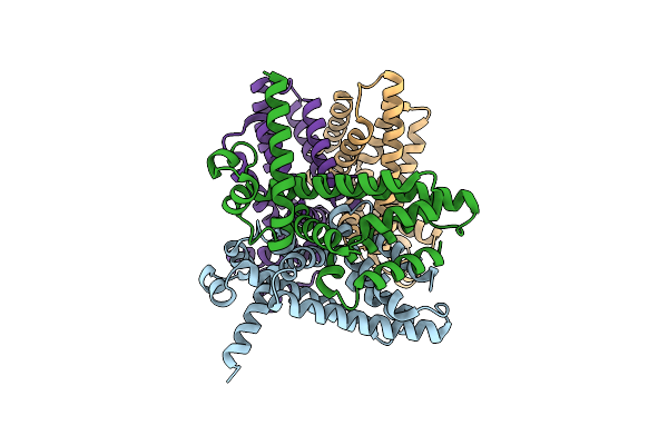2NX4 image