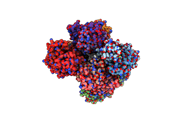 2NX5 image
