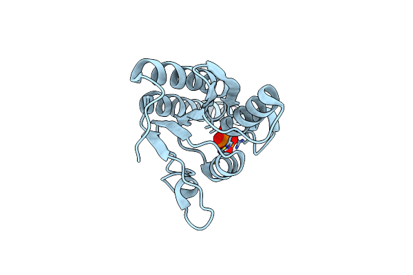2NX8 image